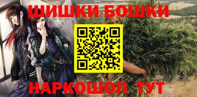 МДПВ Гатчина