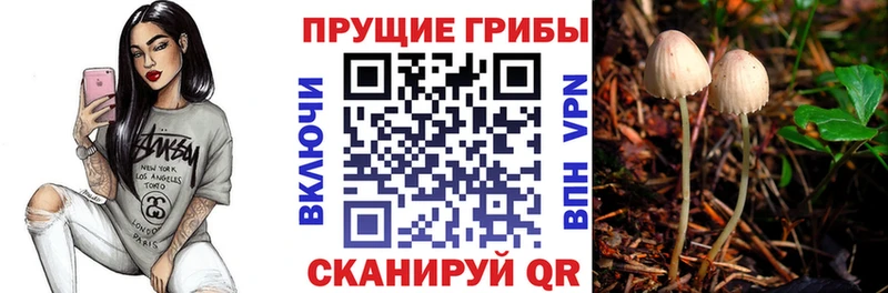 даркнет сайт  Кострома  Псилоцибиновые грибы MAGIC MUSHROOMS 