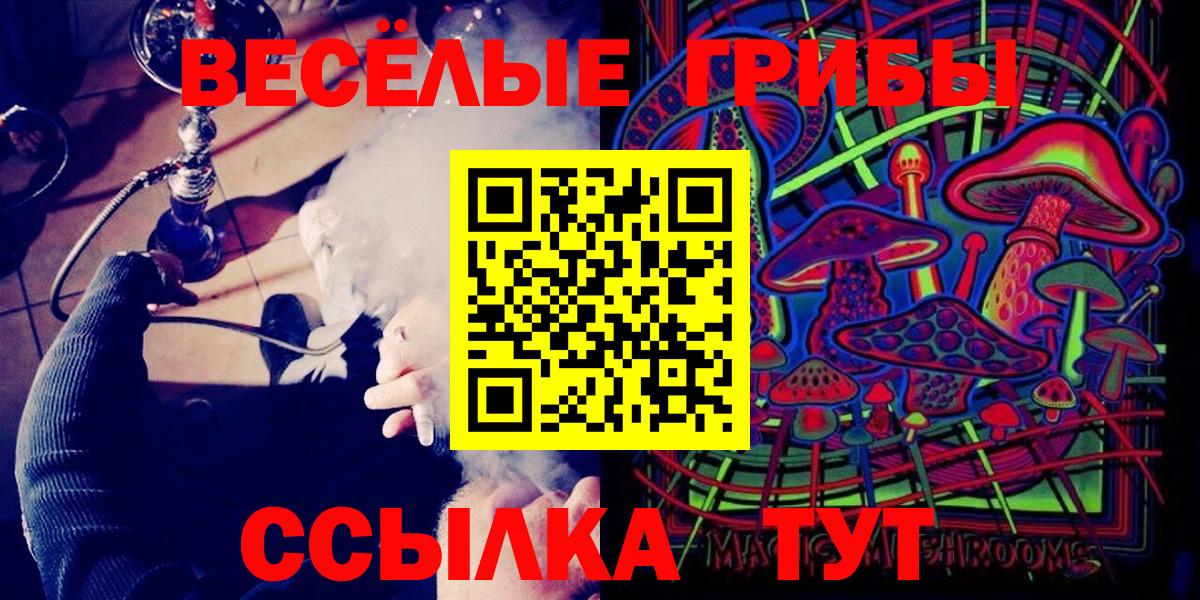Псилоцибиновые грибы мицелий Кострома