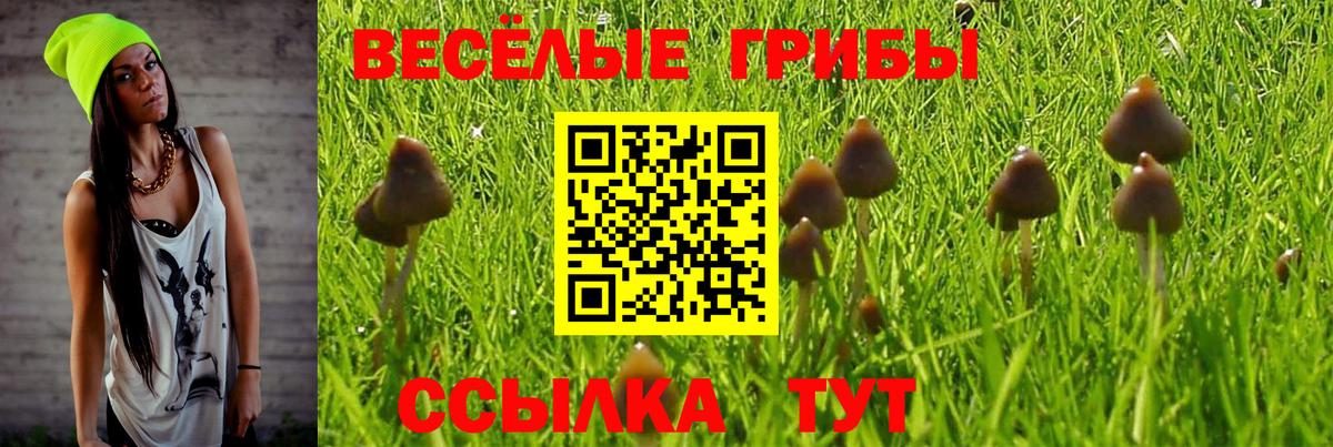 Псилоцибиновые грибы GOLDEN TEACHER  Вход с VPN  Галлюциногенные грибы прущие грибы  Кострома 